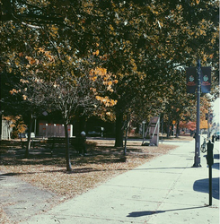 Winter In Kerr Village